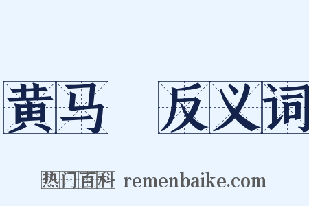 黄马袿反义词是什么意思的图片